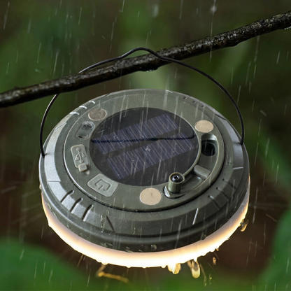Garden transformation with firefly solar lights